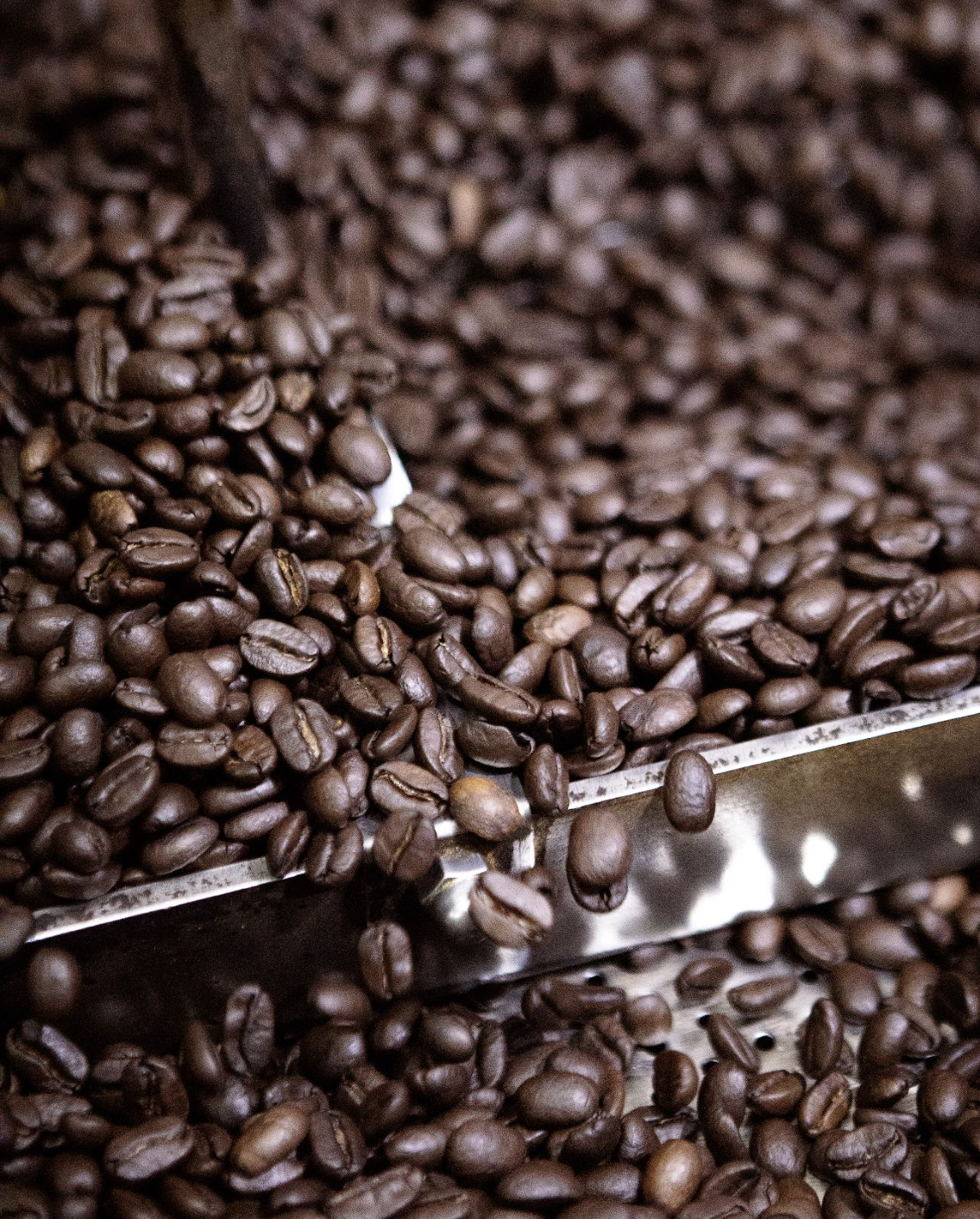 Café de Chiapas, Granel Tueste Medio / Entero / Fino / Granulado