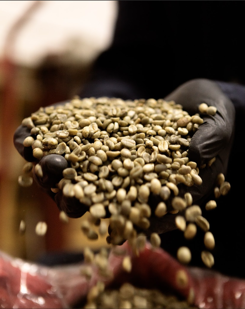 Café de Chiapas Oro Verde